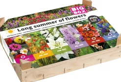 Big Box Long summer of flowers 25 x 30 x 15 cm