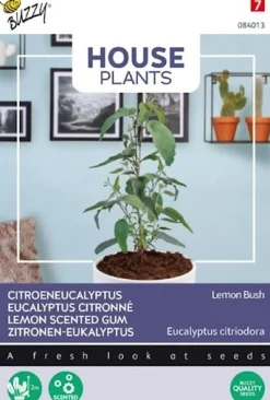 Buzzy House Plants kamerplantenzaad Citroen eucalyptus (Eucalyptus citriodora)