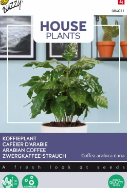 Buzzy House Plants kamerplantenzaad Koffieplant (Coffea arabica 'Nana')
