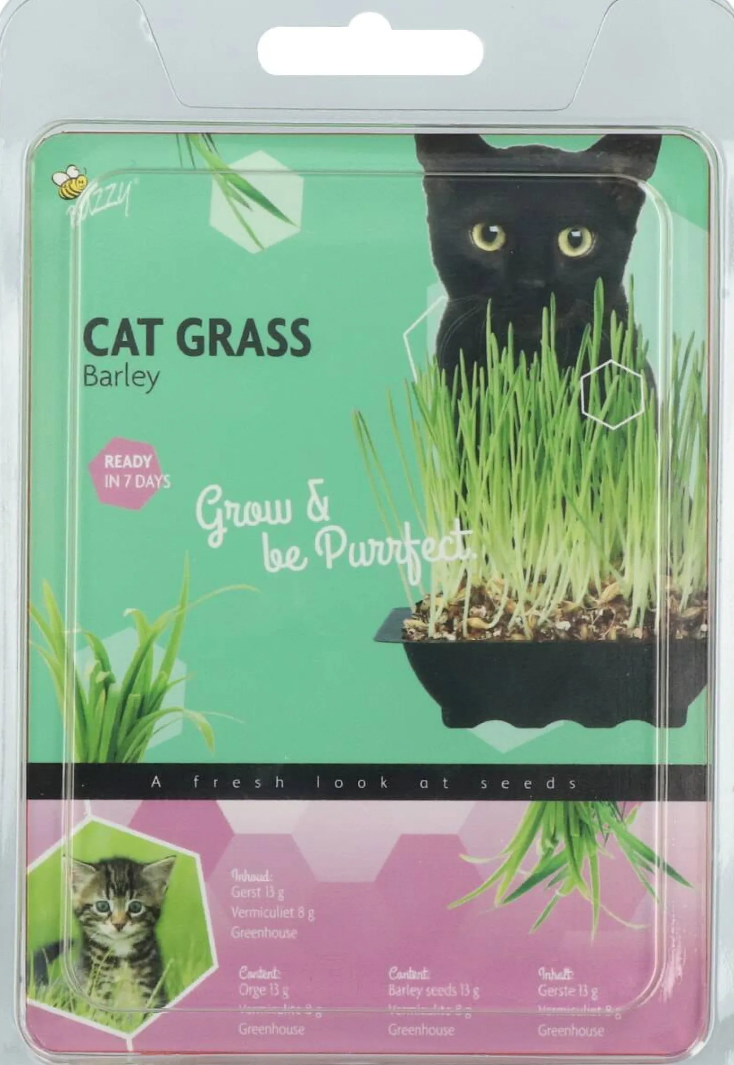 Buzzy kruidenzaad kweekset kattengras