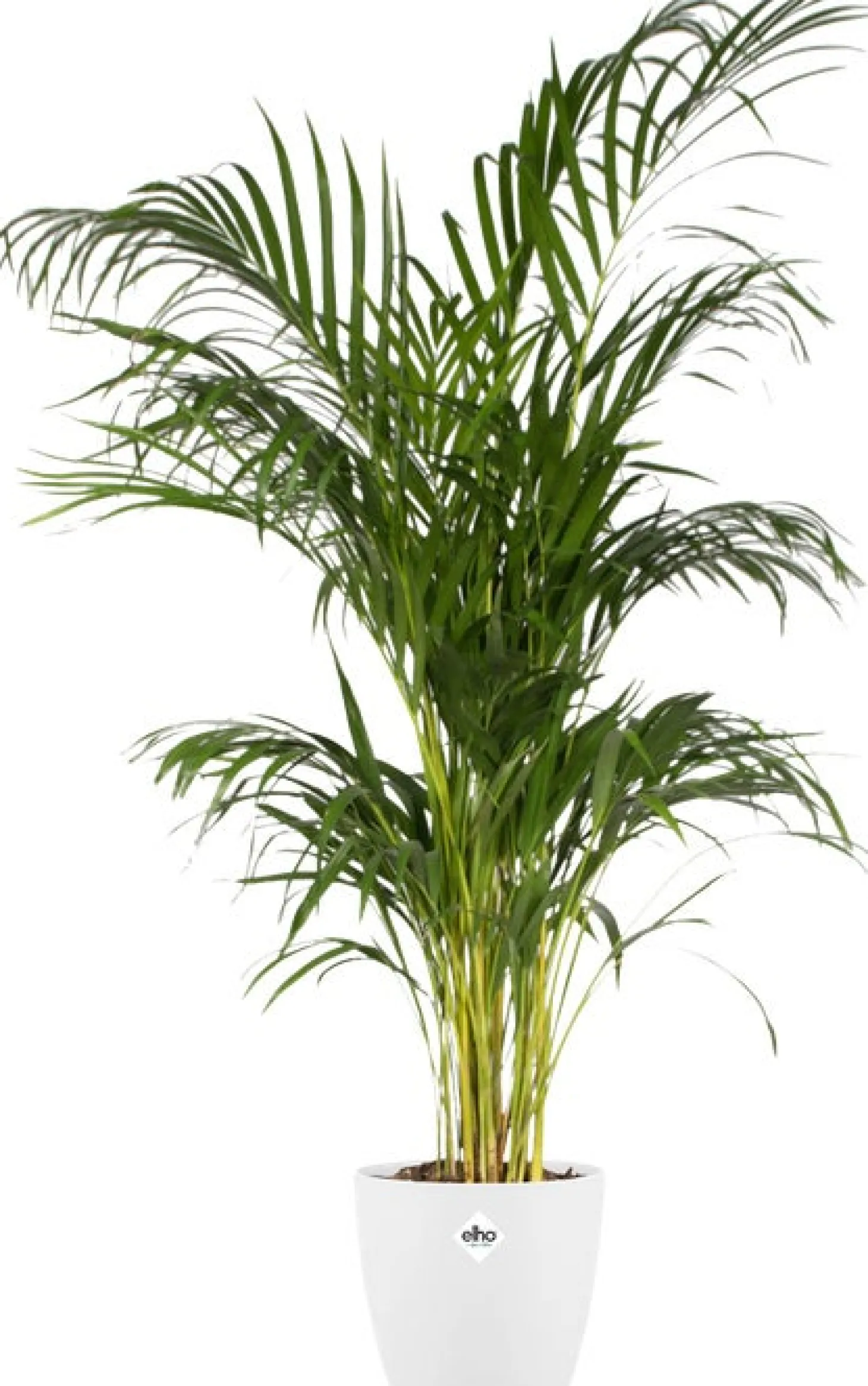 Elho bloempot Brussels wit D 18,3 H 16,8 cm