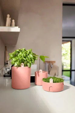 Elho kweekpot Magic Microgreens terracotta D 16,8 H 7,1