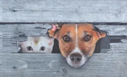Esschert Design droogloopmat Kiekeboe hond en kat grijs 75 x 45,4 cm