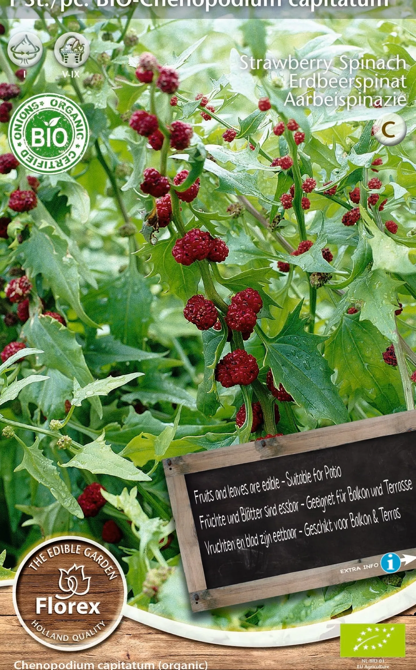 Florex bio aardbeispinazie (Chenopodium capitatum)