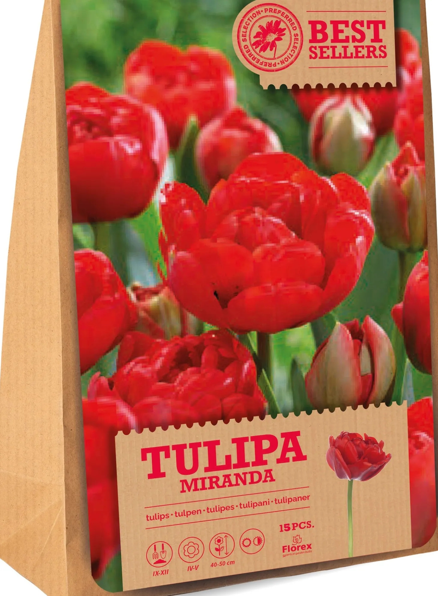 Florex bloembollen tulp (Tulipa 'Miranda') 15 stuks