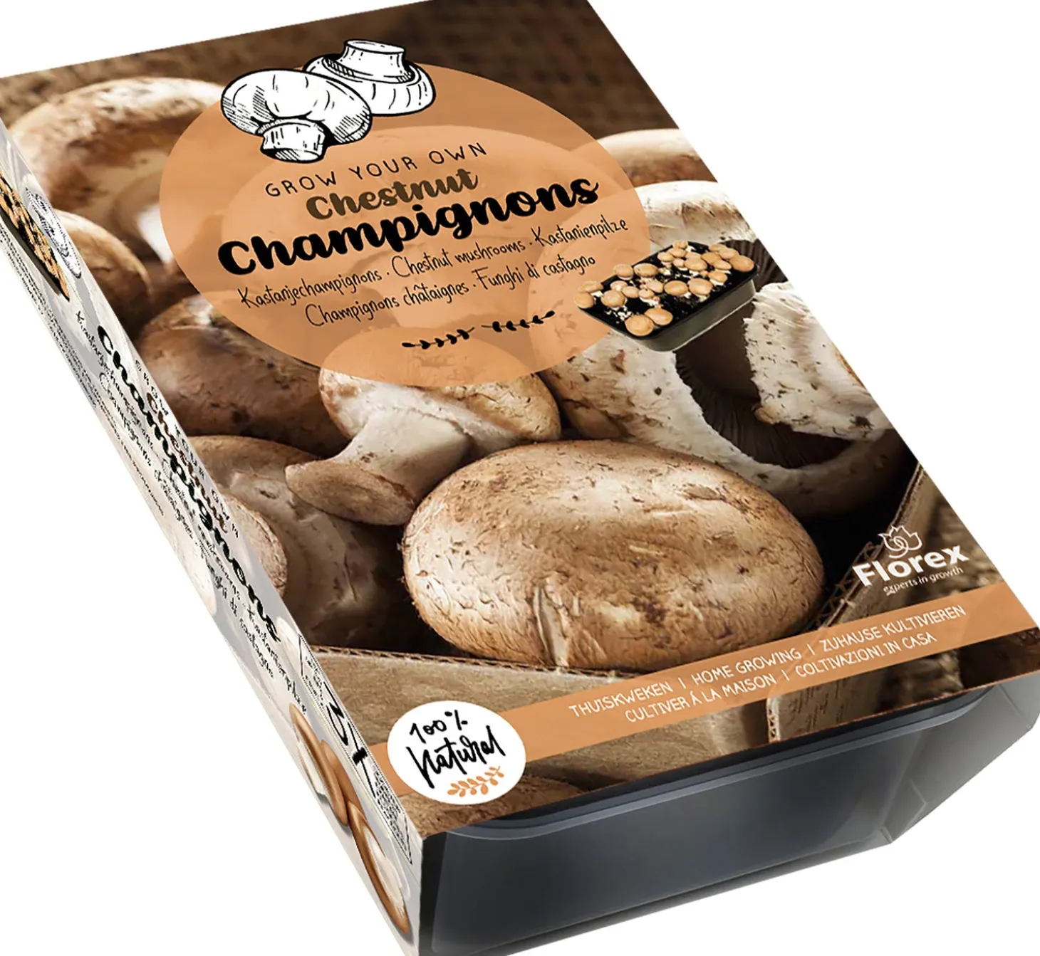 Florex Farm fresh kweekset Bruine champignons