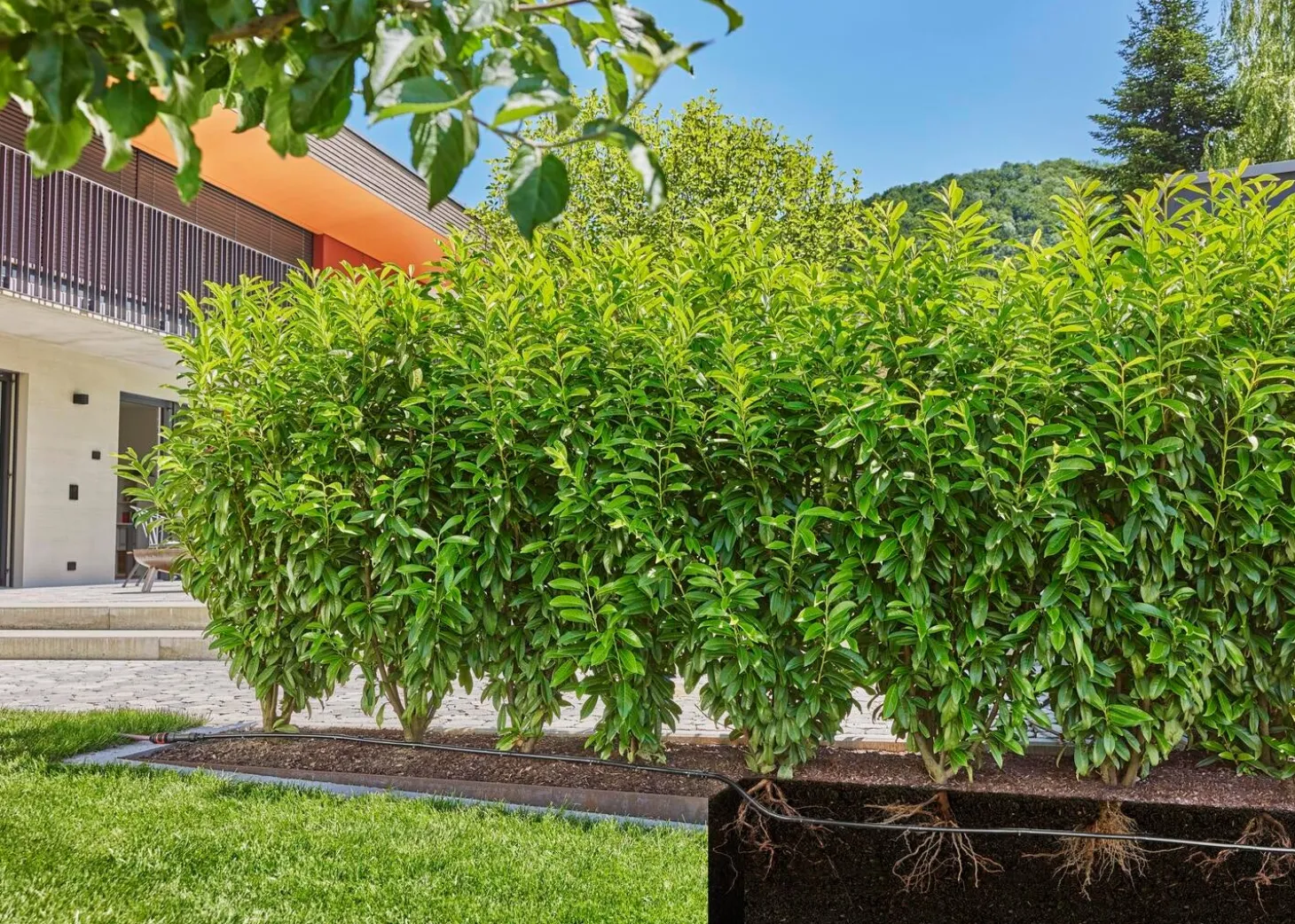 Gardena Micro Drip systeem druppelbuis 25 m