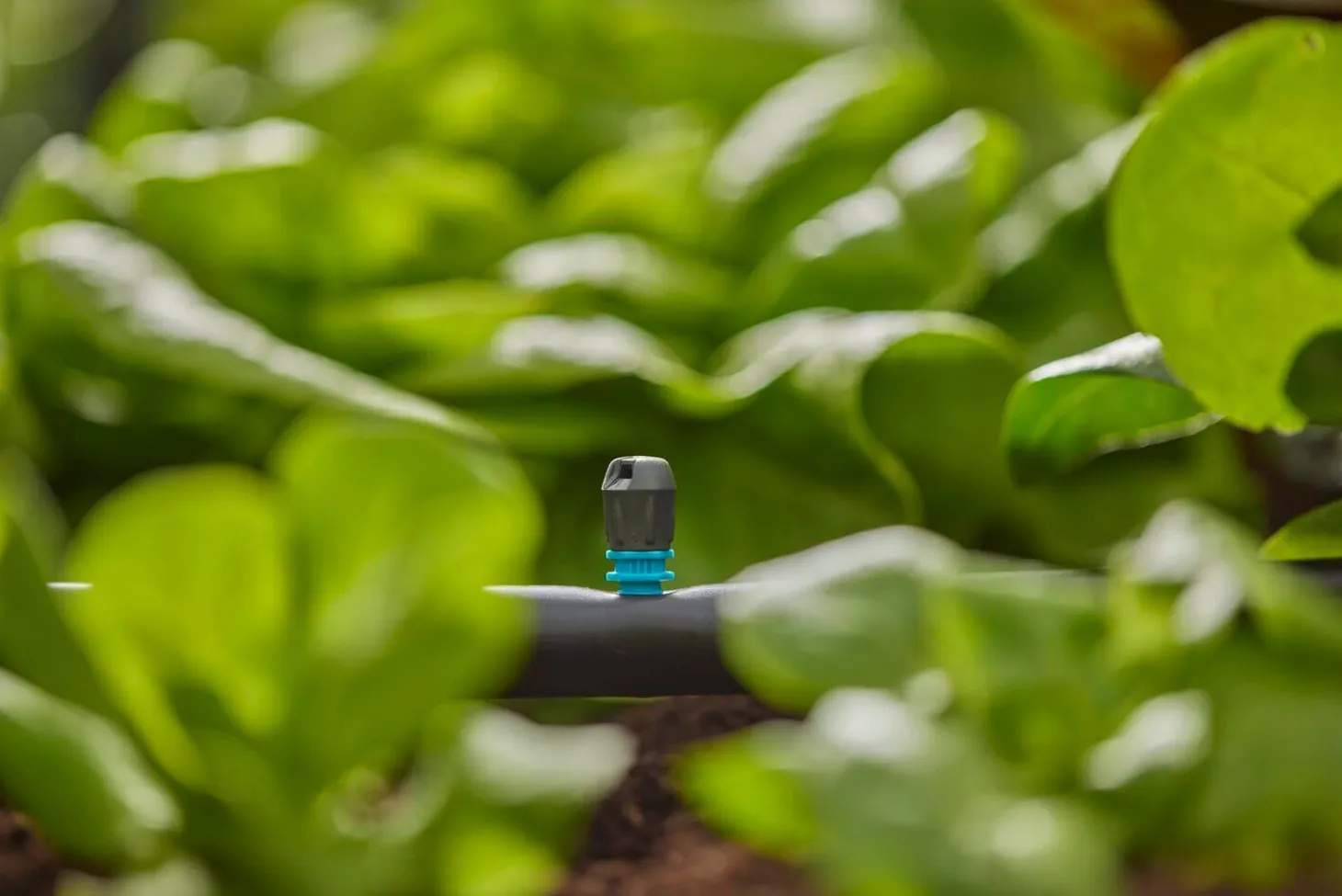 Gardena Micro Drip systeem eindsproeikop 5 stuks