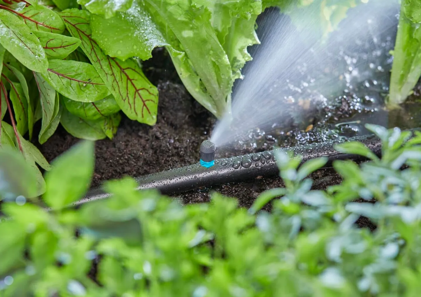 Gardena Micro Drip systeem eindsproeikop 5 stuks