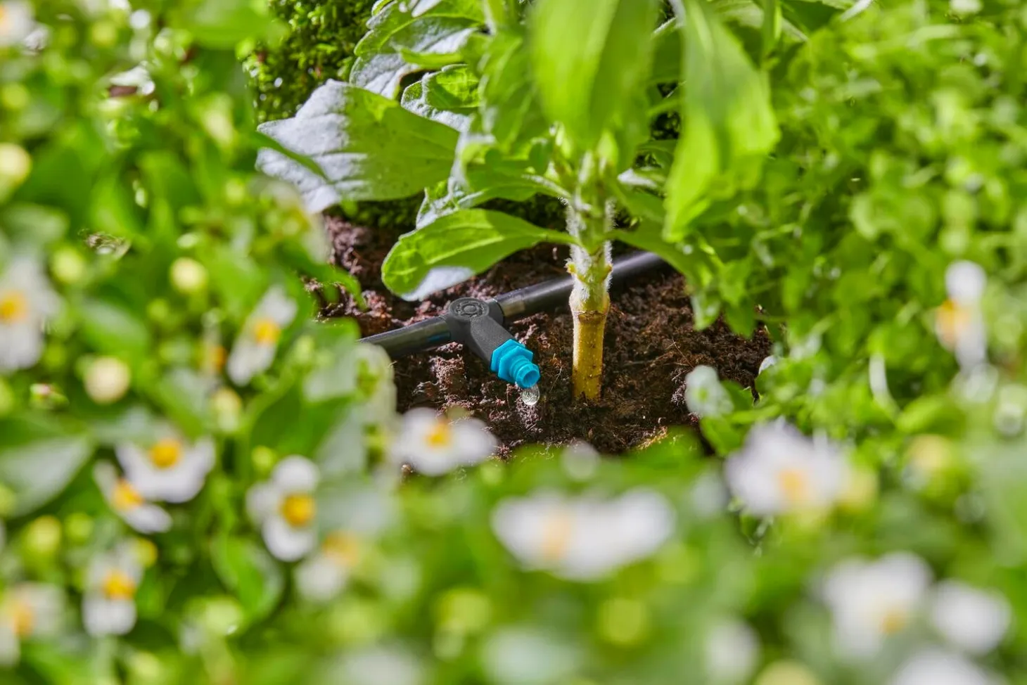 Gardena Micro Drip systeem seriedruppelaar 2 L