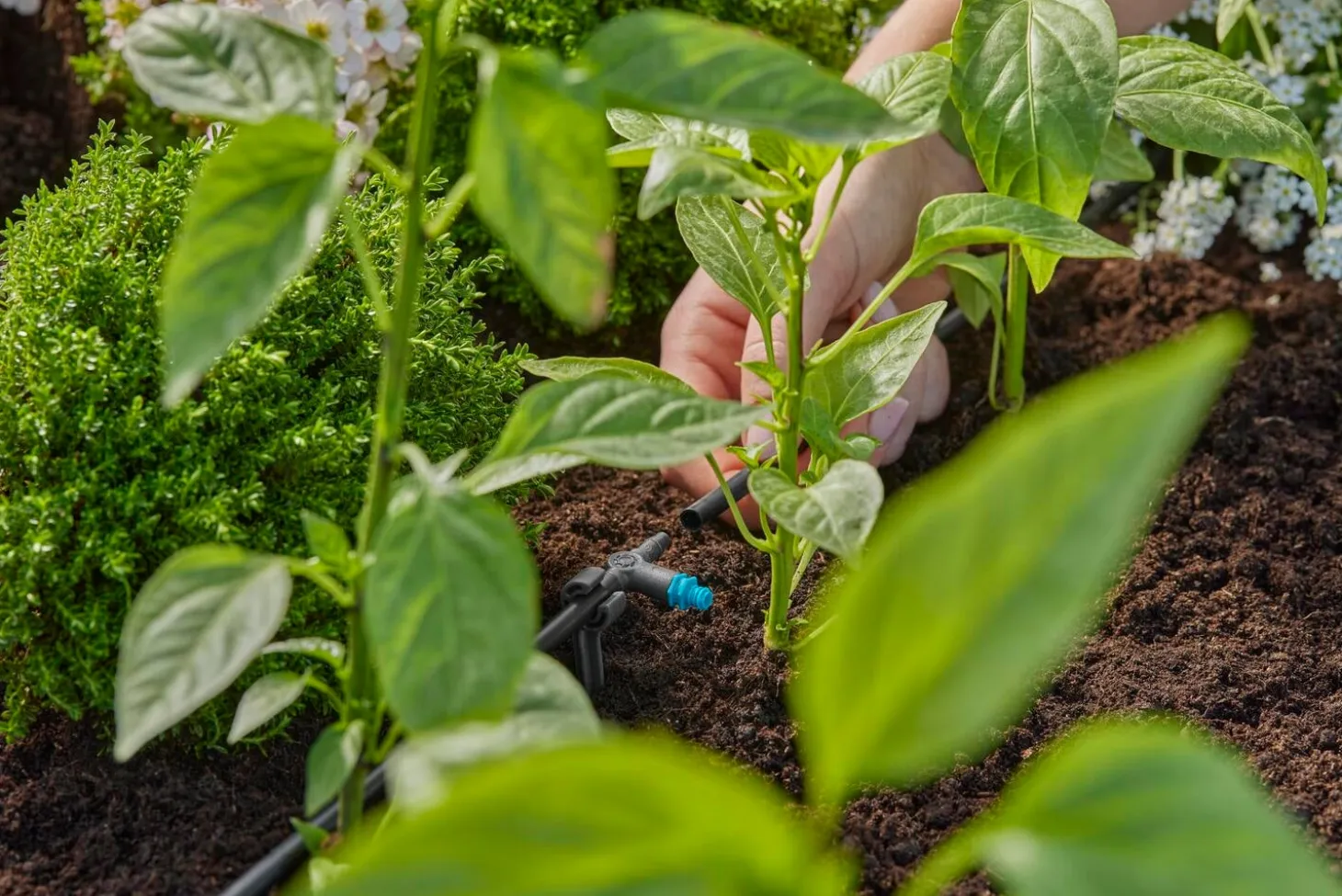 Gardena Micro Drip systeem seriedruppelaar 2 L