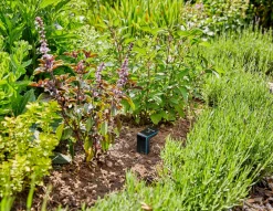 Gardena smart sensor