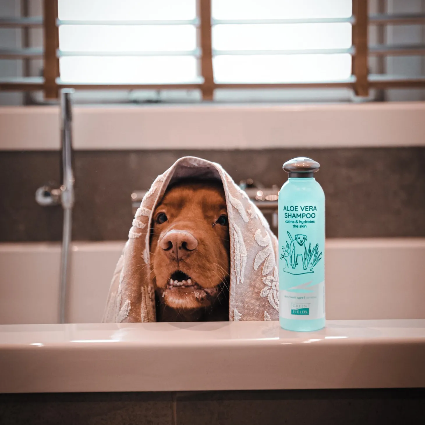 Greenfields hondenshampoo aloevera 270 ml
