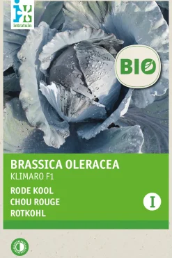 Intratuin Biologisch groentezaad Rode kool (Brassica oleracea 'Klimaro F1')