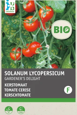 Intratuin Biologisch groentezaad Stoksnijboon (Phaseolus vulgaris 'Helda')