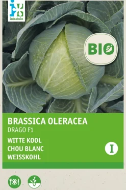 Intratuin bioloschie groentezaad Witte kool (Brassica oleracea 'Drago F1')