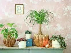 Intratuin bloempot Helle crème D 23 H 16,5 cm