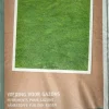 Intratuin gazonvoeding Bio 20 kg