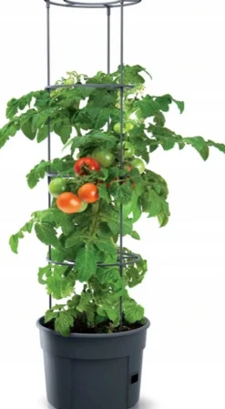 Intratuin groeitoren tomaten antraciet 39 x 31,5 x 153 cm