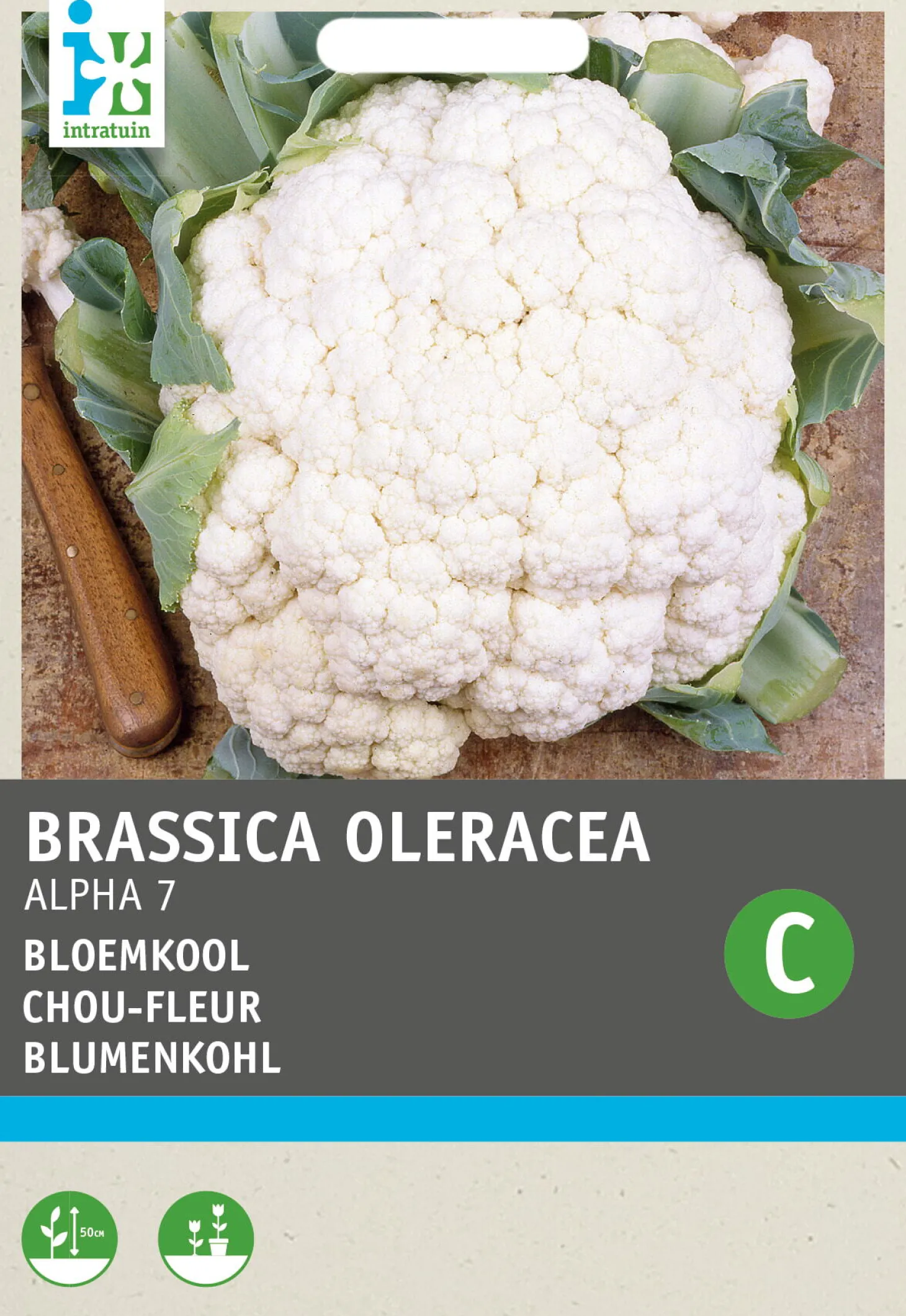 Intratuin groentezaad Bloemkool (Brassica oleracea 'Alpha')