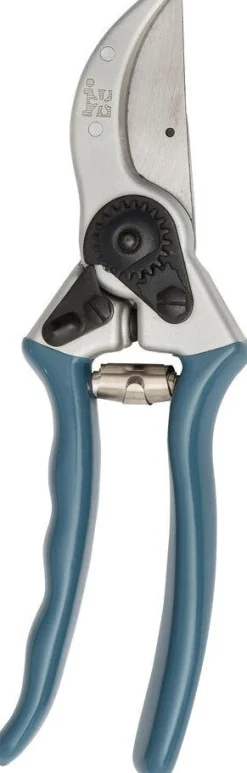 Intratuin premium snoeischaar zilver/blauw