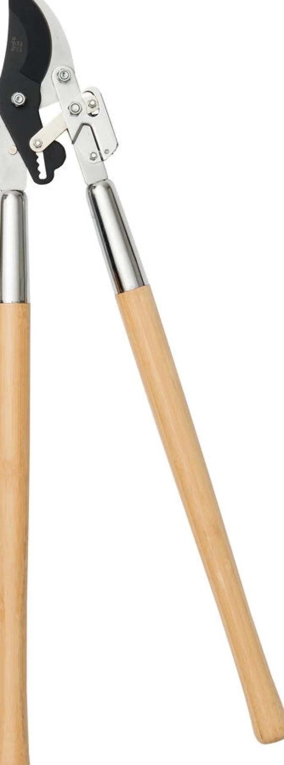 Intratuin premium takkenschaar bamboe