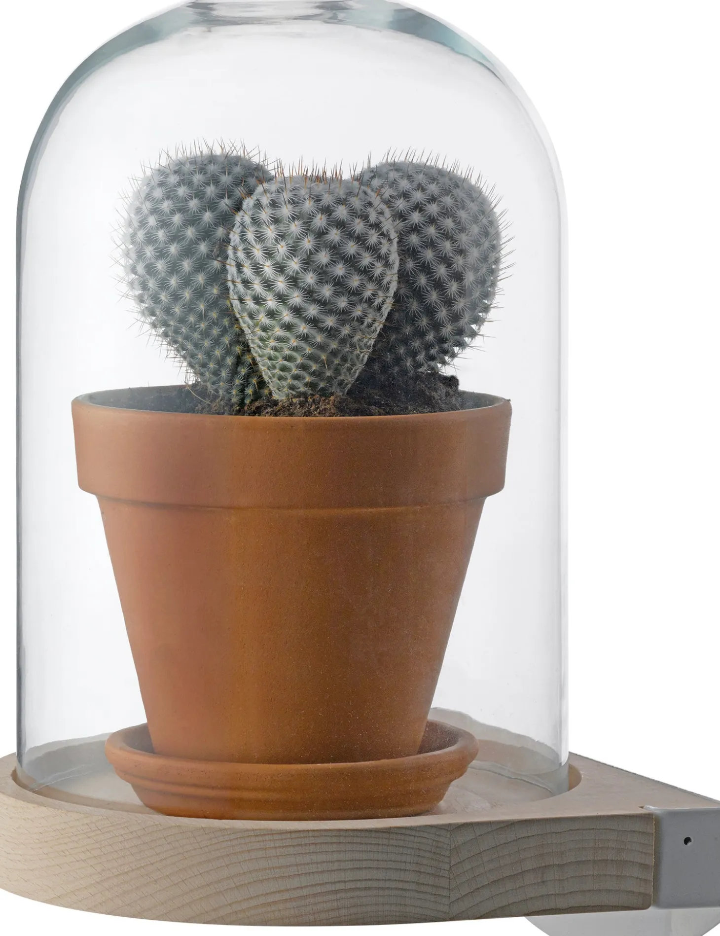 Intratuin wandstolp transparant D 21 H 29 cm