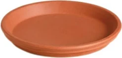 Mega Collections schotel D 11 cm