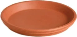 Mega Collections schotel D 31 cm