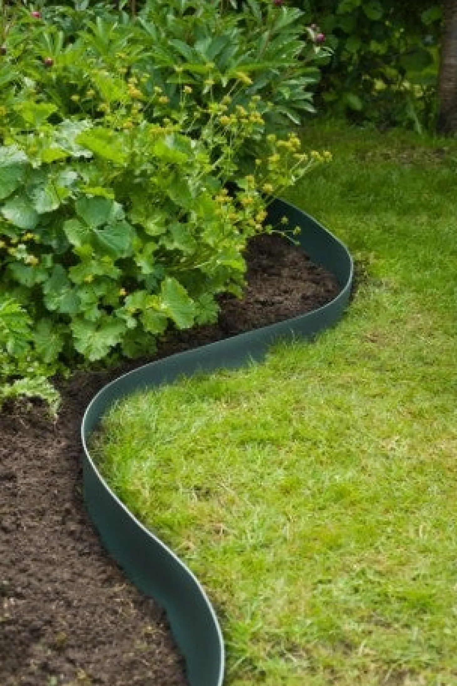 Nature borderrand groen 10 m