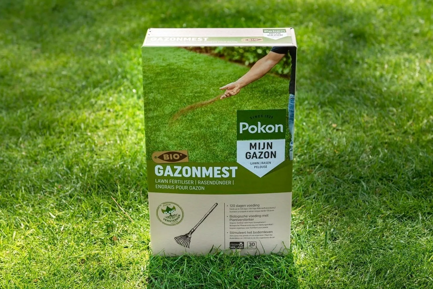 Pokon bio gazonmest 125 m²