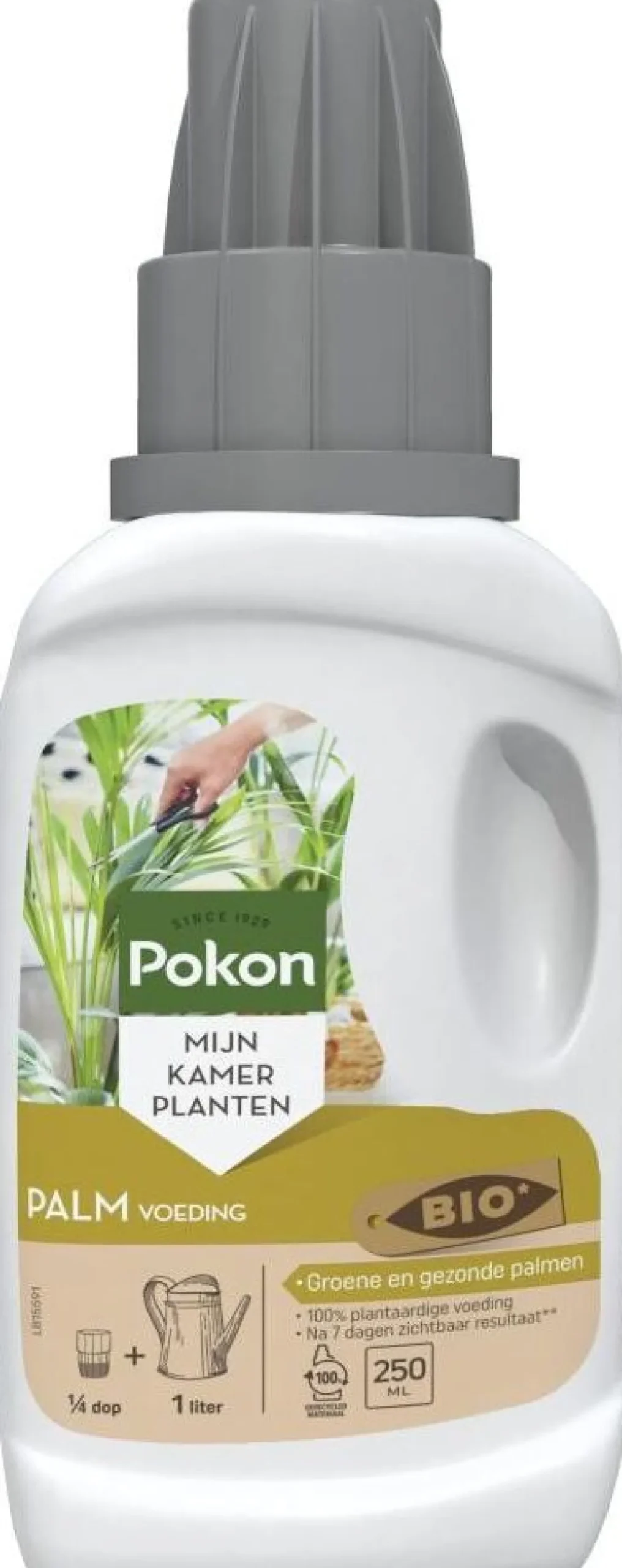 Pokon bio palm voeding 250 ml