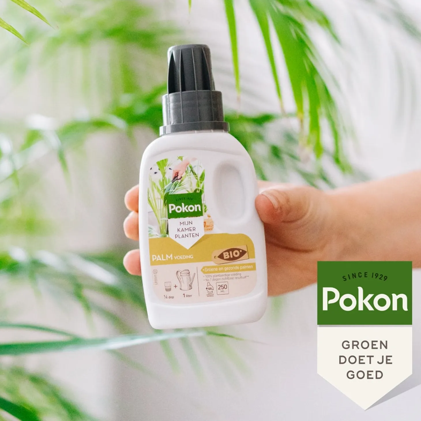 Pokon bio palm voeding 250 ml