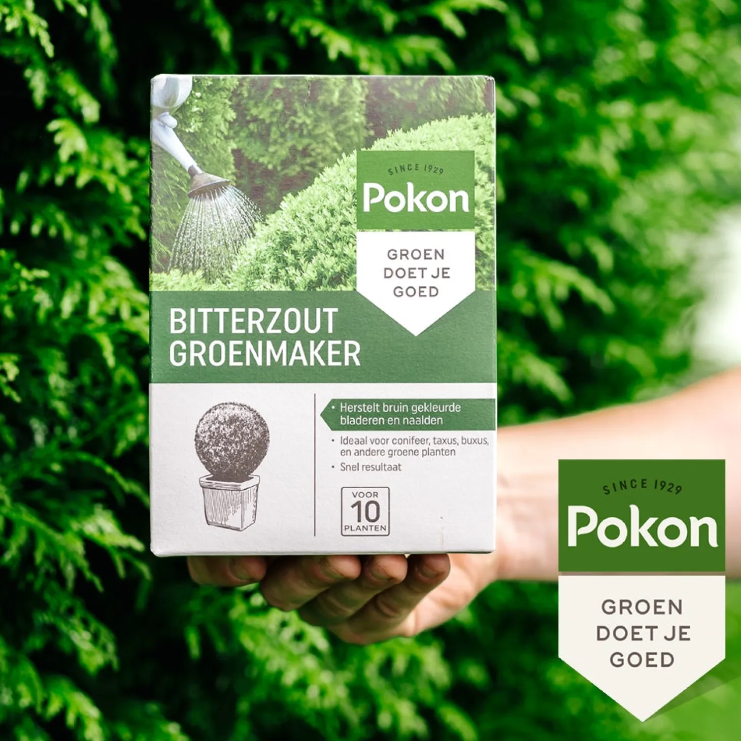 Pokon bitterzout groenmaker 500 g
