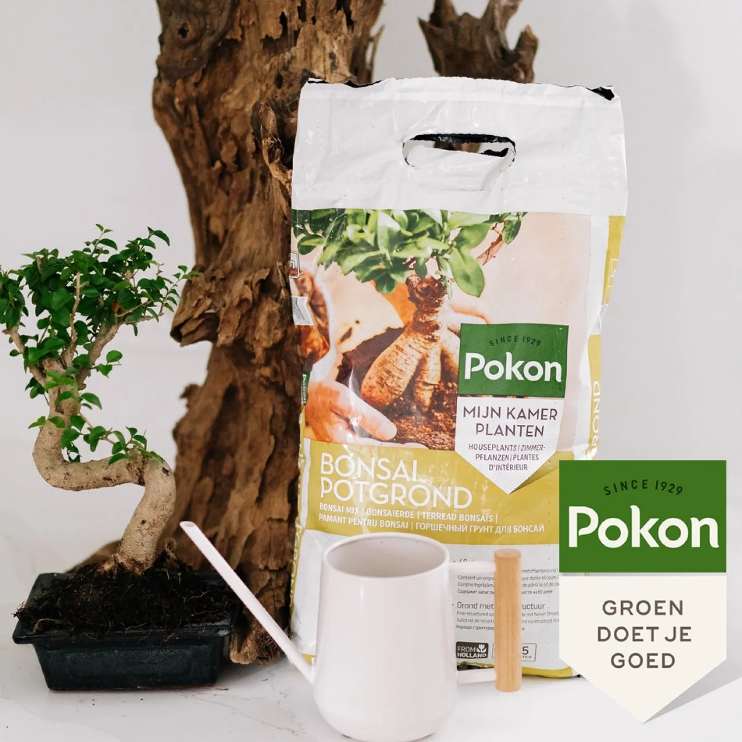 Pokon Bonsai potgrond 5 L