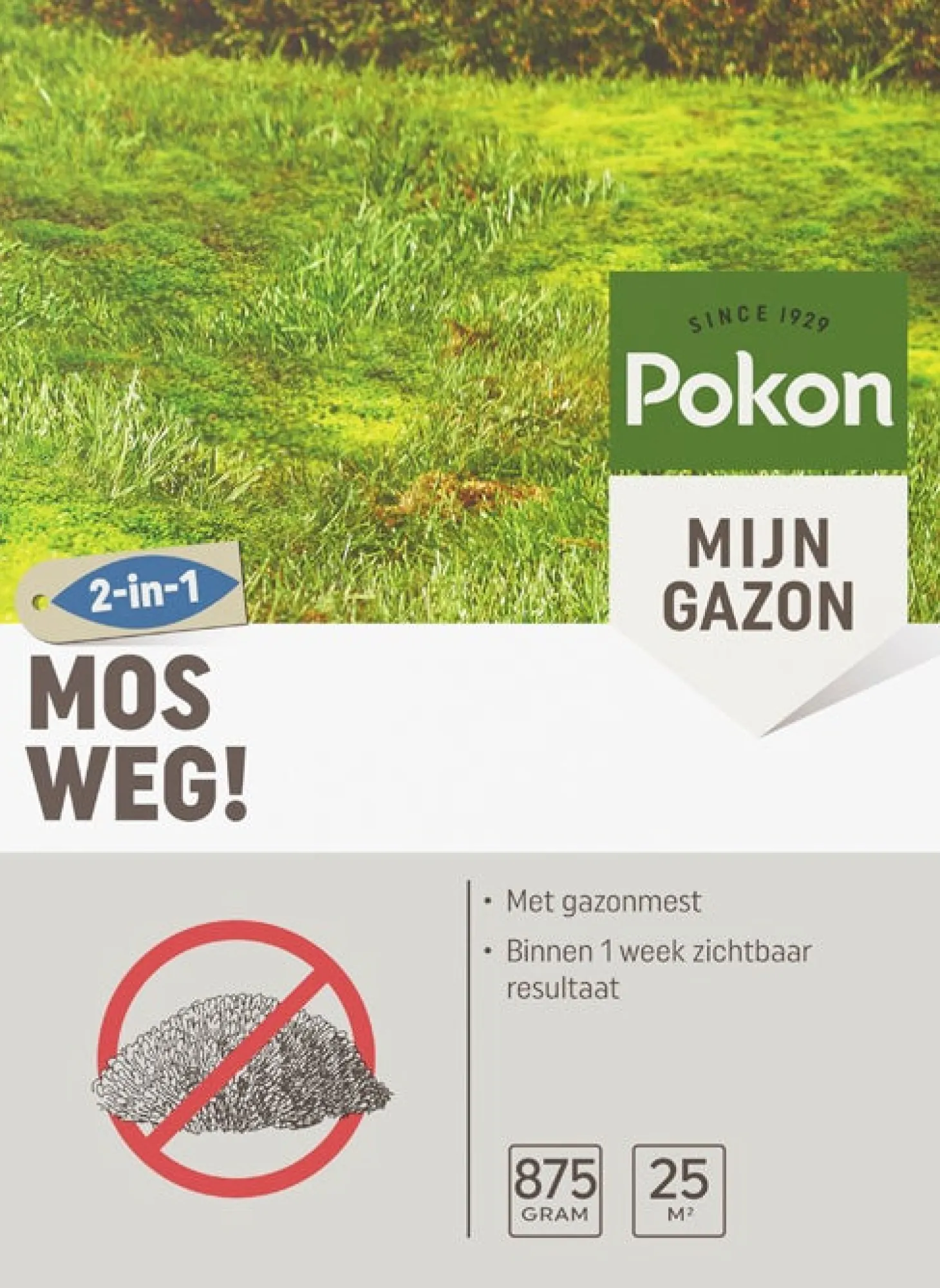 Pokon mosbestrijding 875 gr