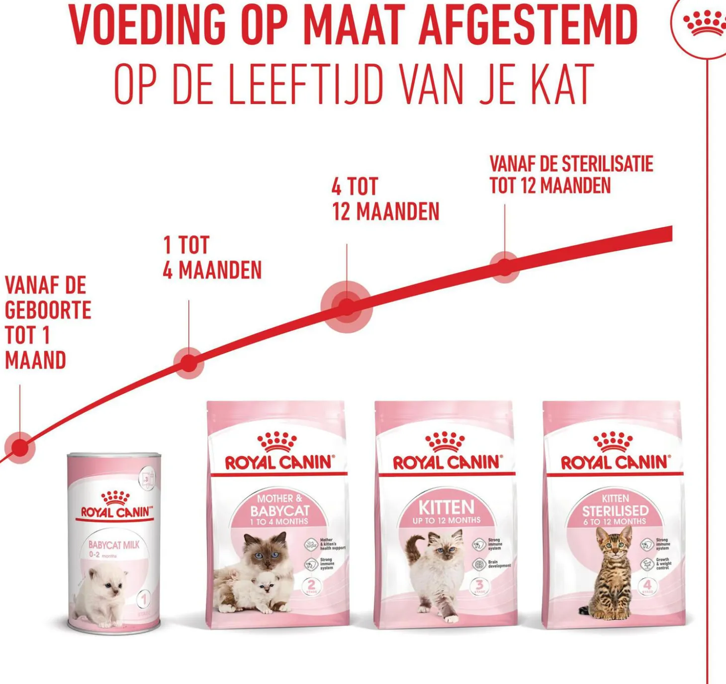 Royal Canin kattenvoer kitten 2 kg
