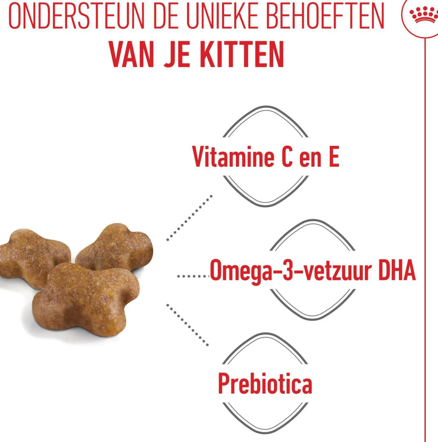 Royal Canin kattenvoer kitten 2 kg
