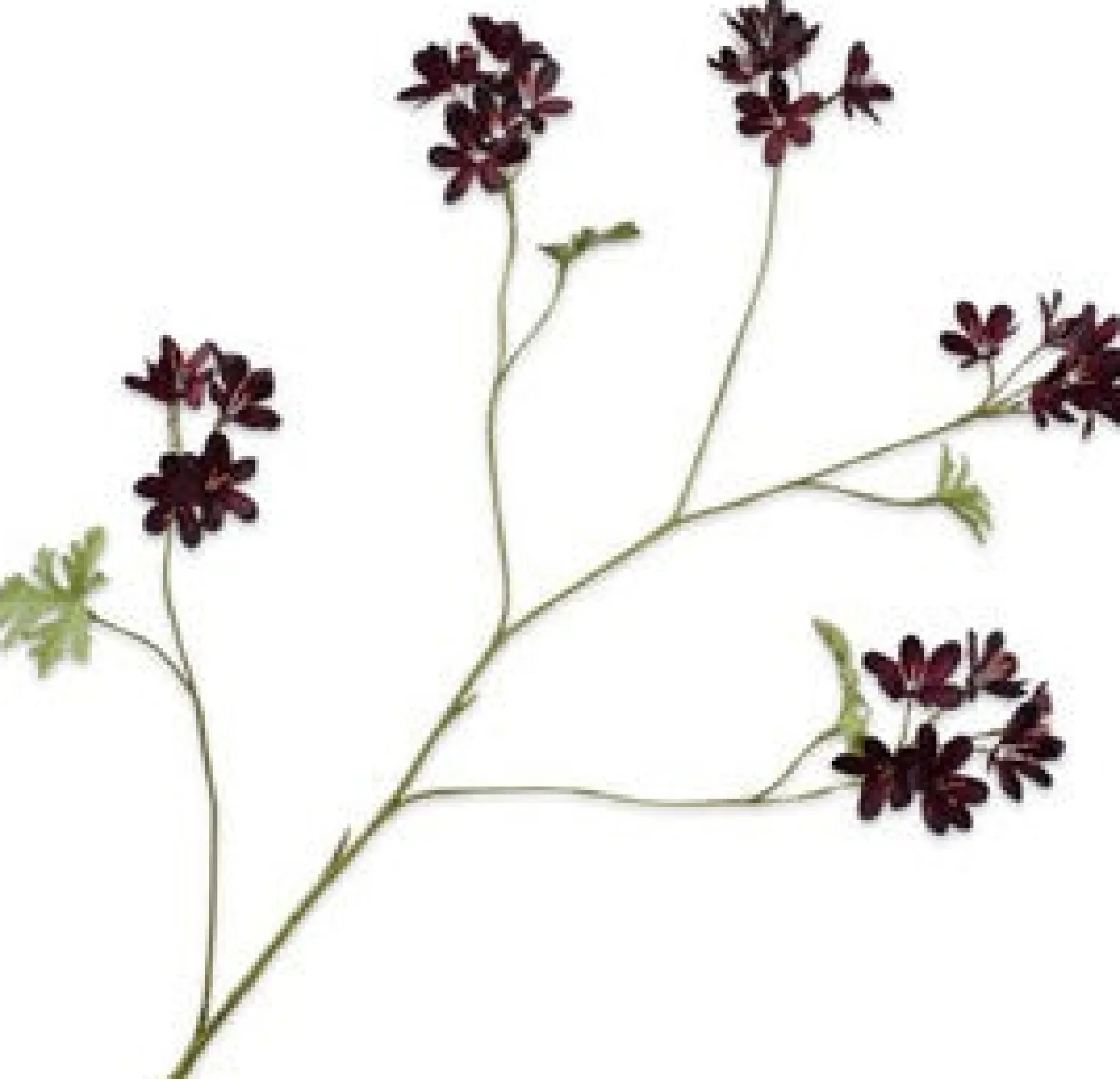 Silk-ka kunstbloem Geranium bordeaux 94 cm